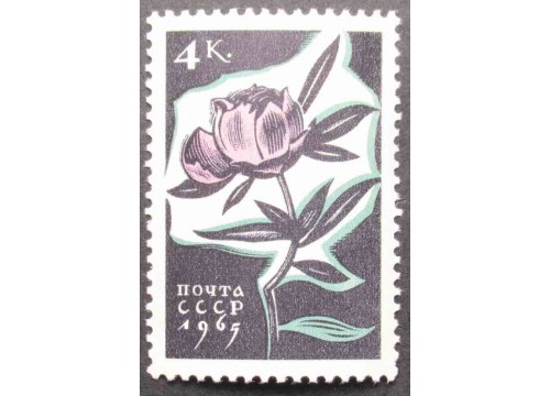 Марка 3194 Цветы. Пионы. MNH ★★. 1965 год.